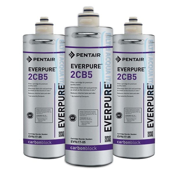 EVERPURE 4CB5 Set 2 Pezzi EV961711